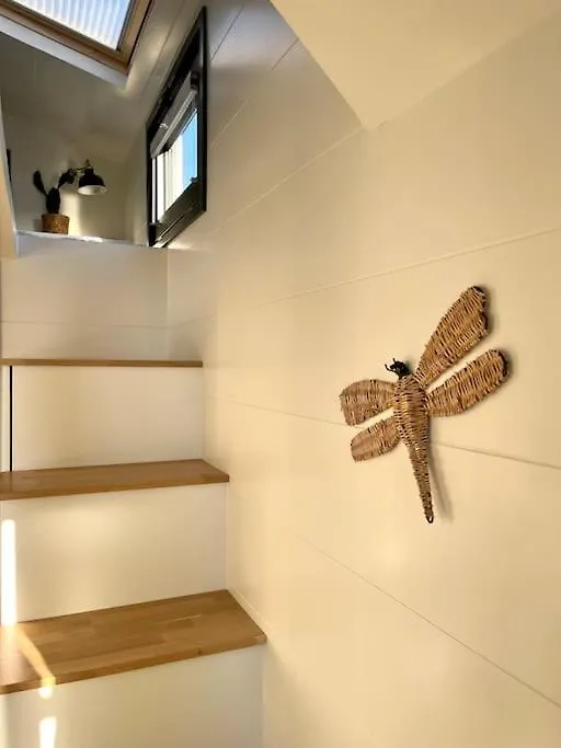 Tiny House With Sauna & Jacuzzi Near Amsterdam Vijfhuizen Netherlands